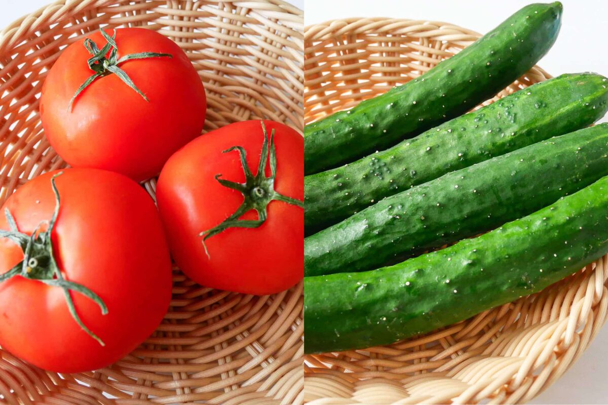 トマトを買うなら“ここ”を見る イオンの野菜選びのプロが教える目利きテク