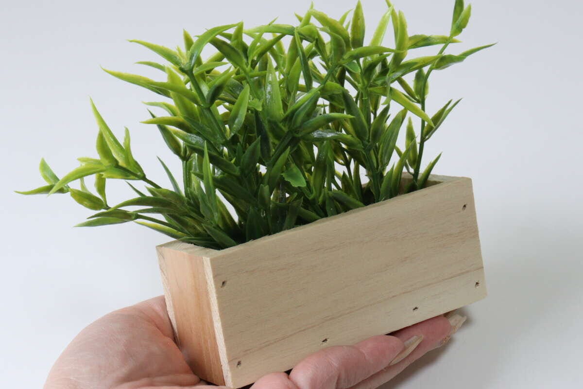 ダイソーの木製グリーンポットのサイズ