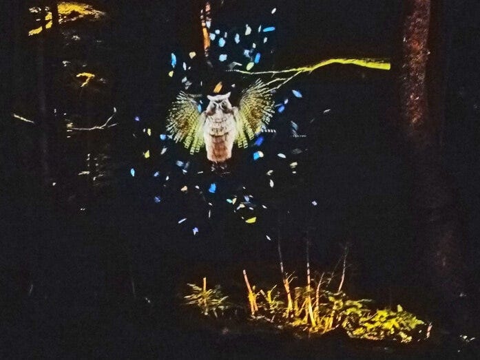 物語のナビゲーター、フクロウ