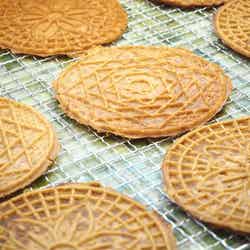 チャルダ/画像提供:株式会社オネスト