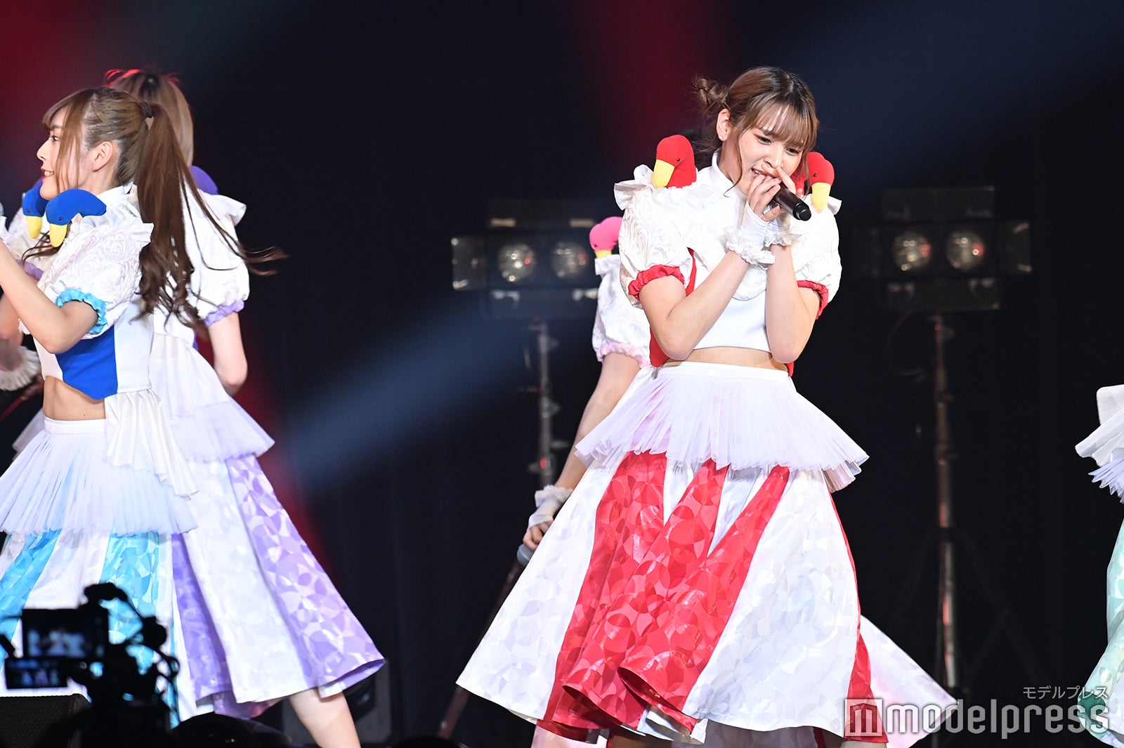 豆柴の大群（C）モデルプレス