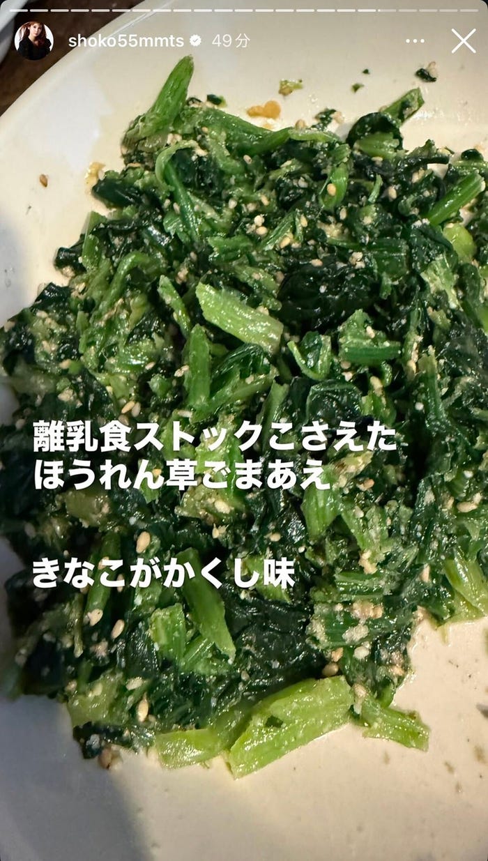 中川翔子Instagramストーリーズより