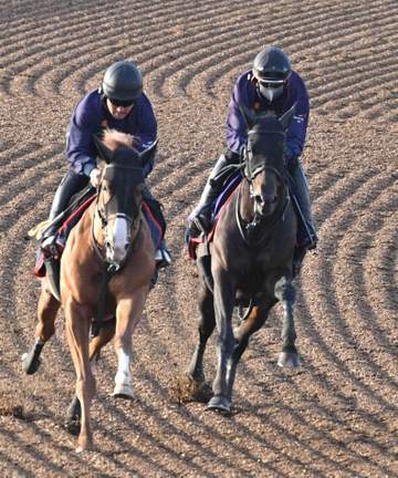 【天皇賞】ヘデントール 状態UP 春盾連覇へさらなる上積み 太田助手「追うごとに状態が上がっています」