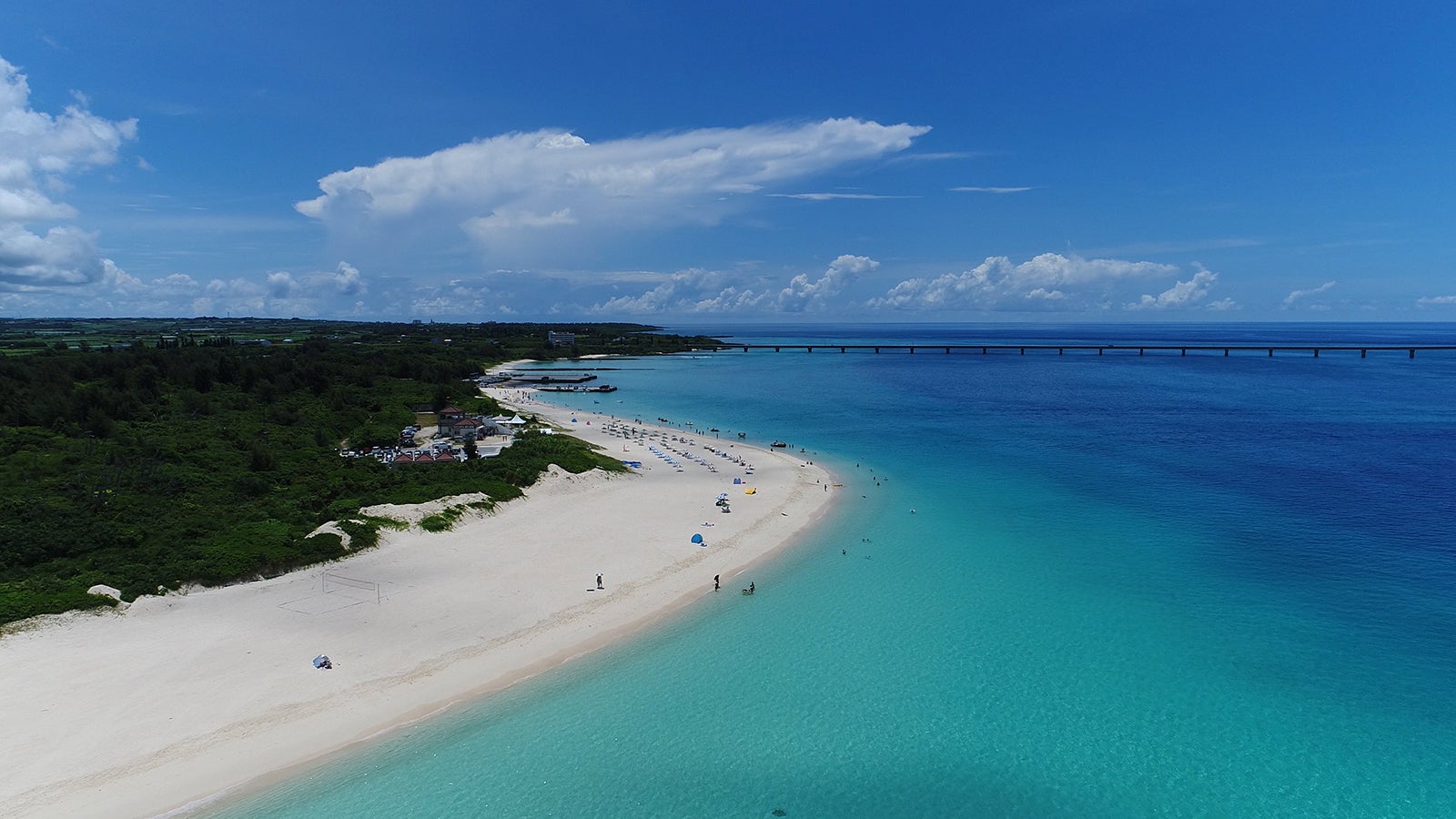 「恋神アプリ」より（提供写真）