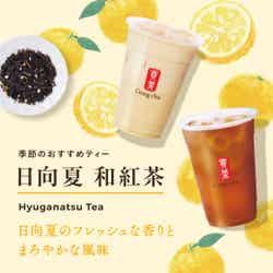 日向夏 和紅茶/提供画像