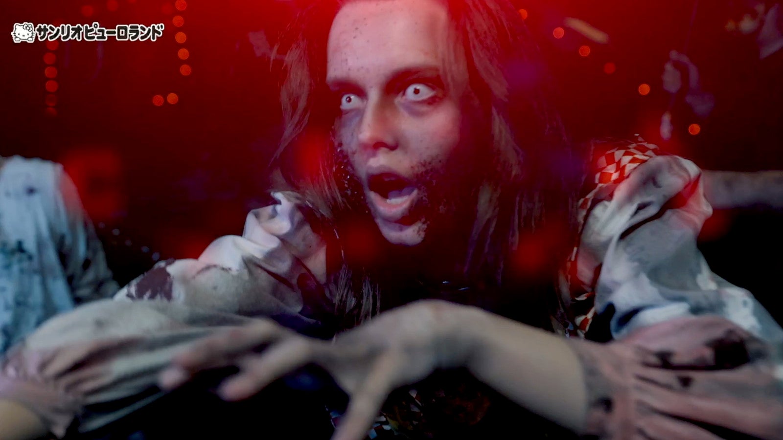 （C）2024 SANRIO CO．，LTD．TOKYO，JAPAN 著作 株式会社サンリオ