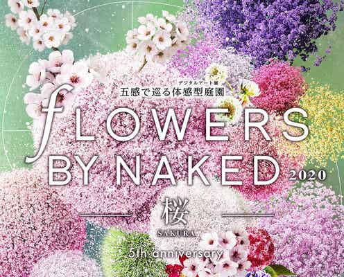 「FLOWERS BY NAKED 2020 ー桜ー」日本橋で開催決定、“桜”テーマの13作品公開