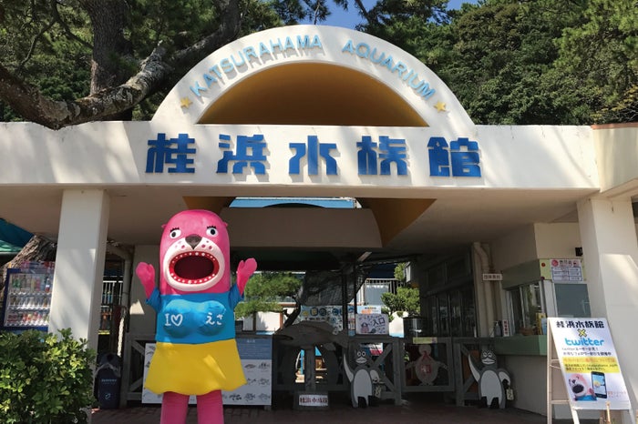 公式キャラクターの「おとどちゃん」。館内のあちらこちらに潜んでいます。探して一緒に写真を撮って(提供画像)