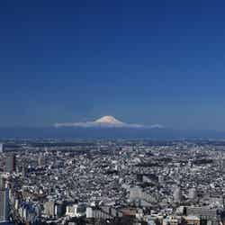 屋上からの眺望(富士山方面・昼)/提供画像 SHIBUYA SKY