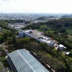 花景の湯/画像提供:よみうりランド