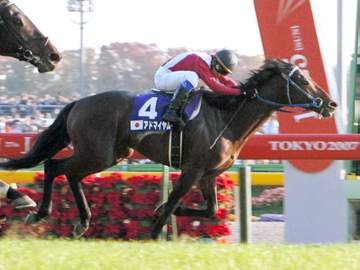 アドマイヤムーン死す 国内外G1.3勝、07年度代表馬