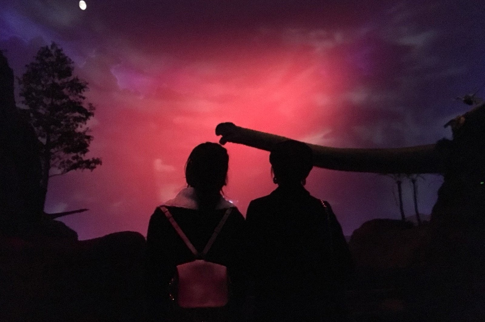 （左から）林田岬優、宮田聡子（C）TBS