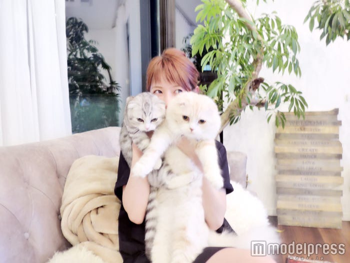 アム&ロワ(画像提供:所属事務所)