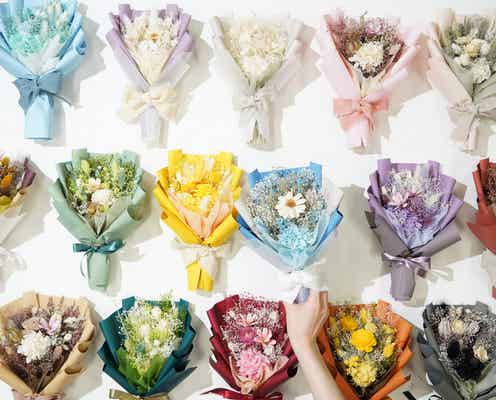 100種類超が揃うドライフラワー専門店「カロン ドライフラワー はなれ」有楽町に誕生