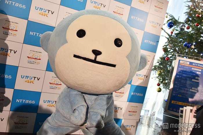 ひかりカエサル