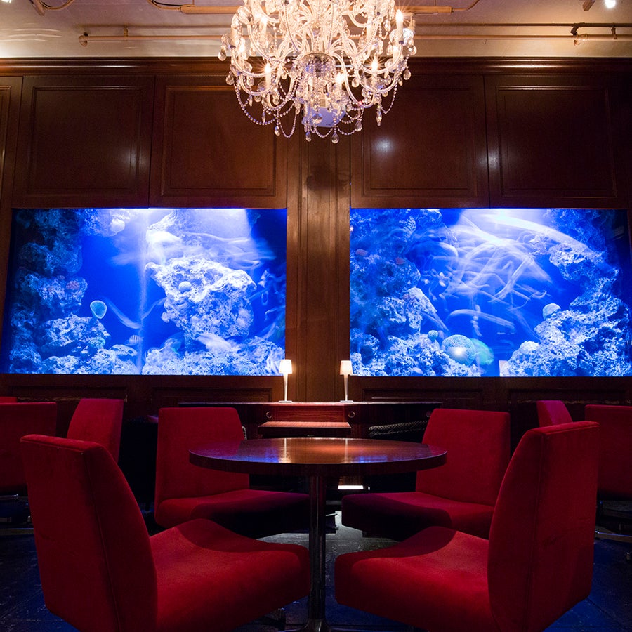 DEN AQUAROOM SHINJUKU メインルーム