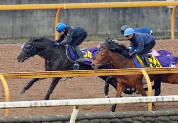 【大阪杯】クロワデュノール 躍動感たっぷり 鞍上は引き続き北村友に決定 斉藤崇師「やるごとに上向き」