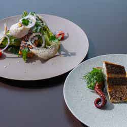 TIAD,オートグラフ コレクション/提供画像