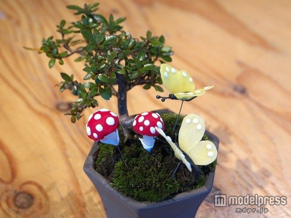 樹脂粘土で作る盆栽用ジオラマパーツ