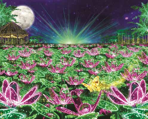「沖縄南国イルミネーション2024-2025」東南植物楽園で開催、400万球輝く“ひかりの楽園”