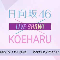「日向坂46×KOEHARU LIVE SHOW」ライブロゴビジュアル（C）「声春っ！」製作委員会  