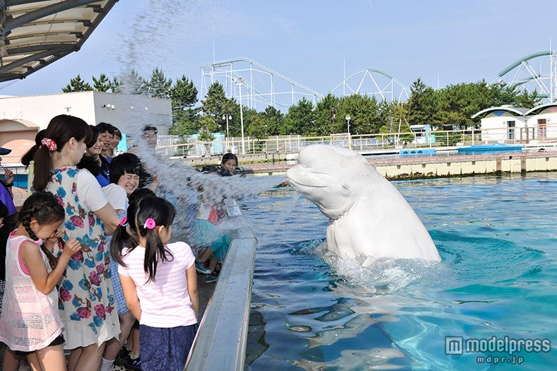 海の動物たちからの豪快な水かけを体験出来る「スプラッシュタイム」／画像提供：横浜八景島【モデルプレス】
