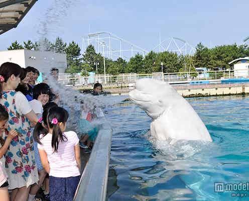 水の迷路&“水かけラン”初登場、八景島シーパラダイスでびしょ濡れの夏満喫