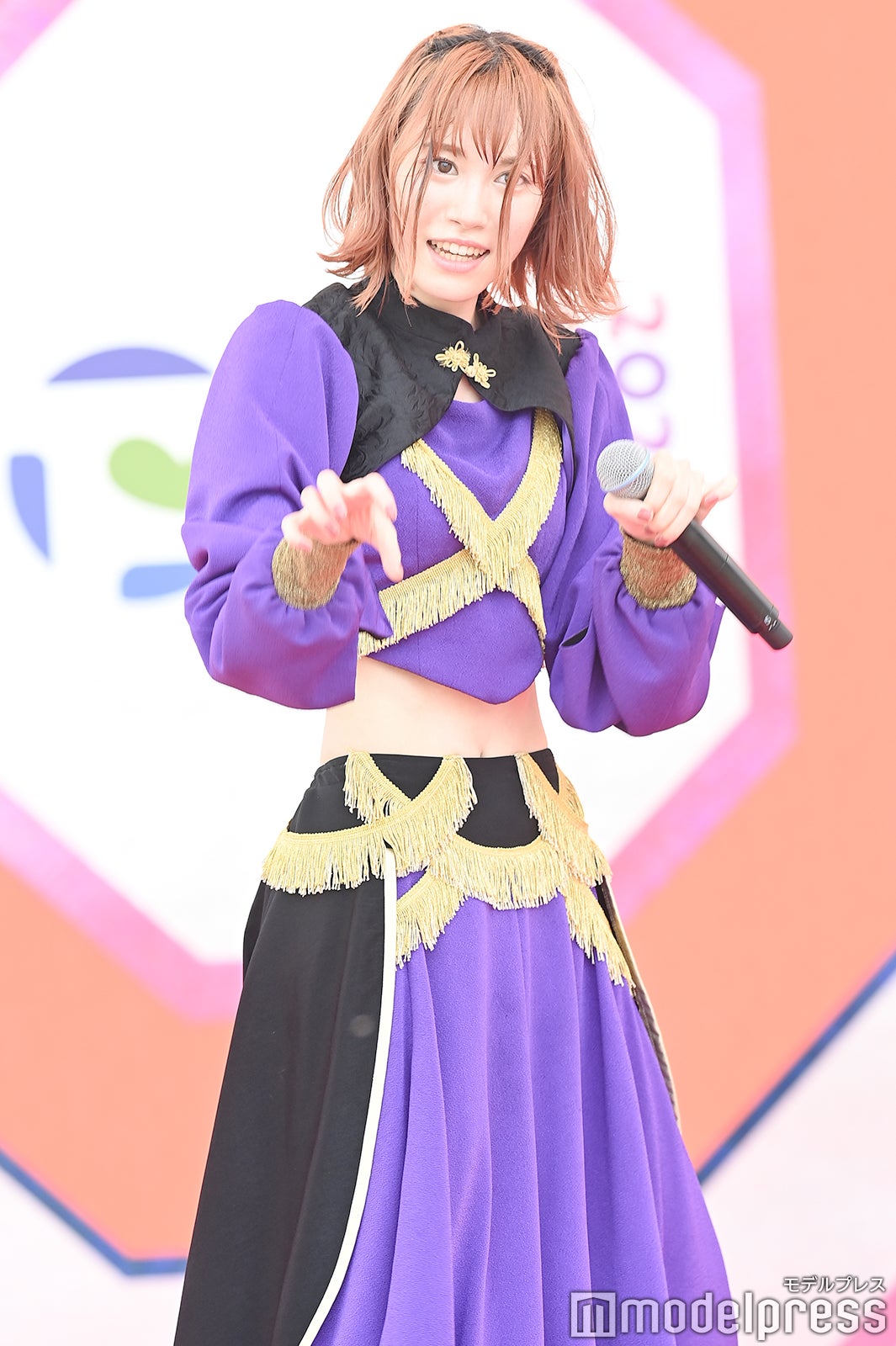 豆柴の大群（C）モデルプレス