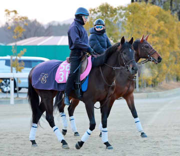 【チューリップ賞】エイズルブルーム 強烈一撃を決める 未勝利戦の末脚再現で桜切符狙う