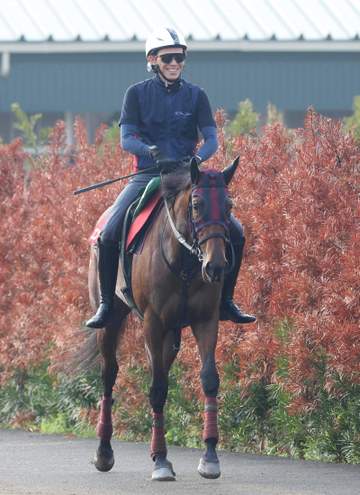 【ヴィクトリアM】エンブロイダリー視界良好 前哨戦の阪神牝馬Sで勝利 2冠牝馬が3つ目勲章へ