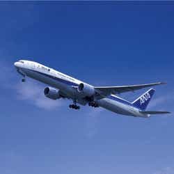 モデルプレス - コロナ影響でライブ中止、航空会社の対応は?全日空が正式回答