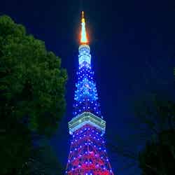 サムライブルーにライトアップされた東京タワー