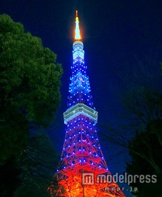 サムライブルーにライトアップされた東京タワー