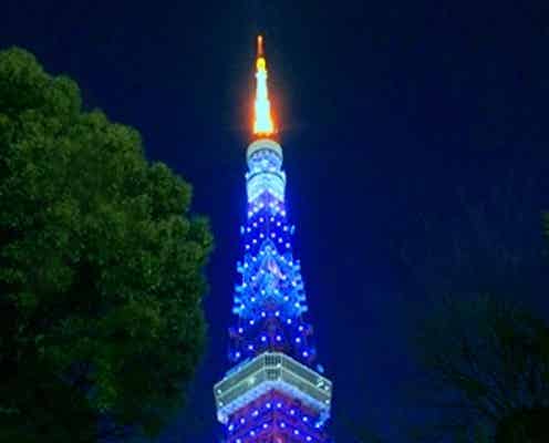 W杯日本にエール、東京タワーがサムライブルーにライトアップ