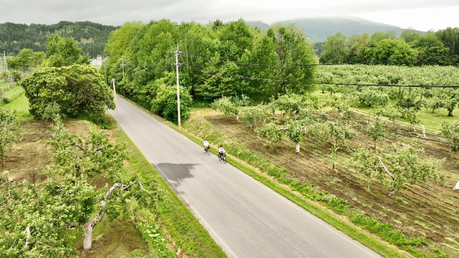 超無敵チャリ通ジャーニー（C）日本テレビ