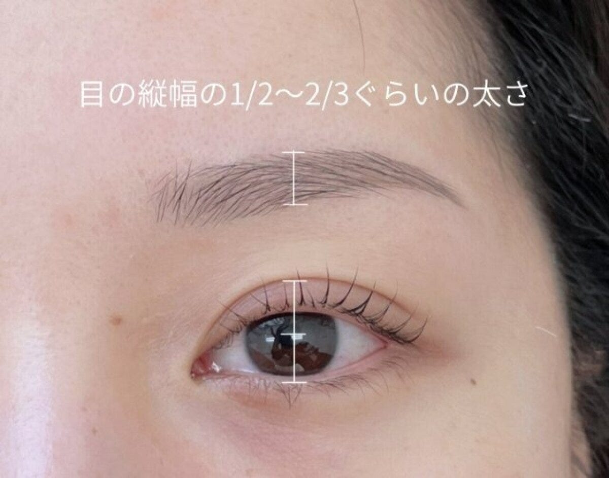 眉の太さは目の縦幅の1/2〜2/3くらいの太さ