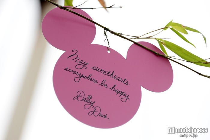 デイジーの短冊