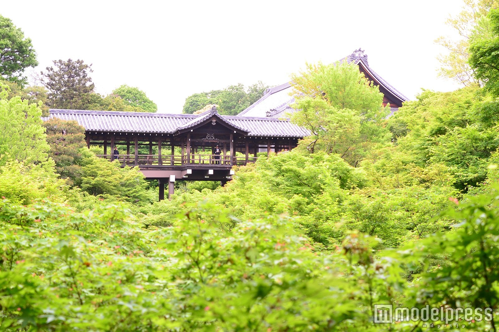 通天橋（C）モデルプレス