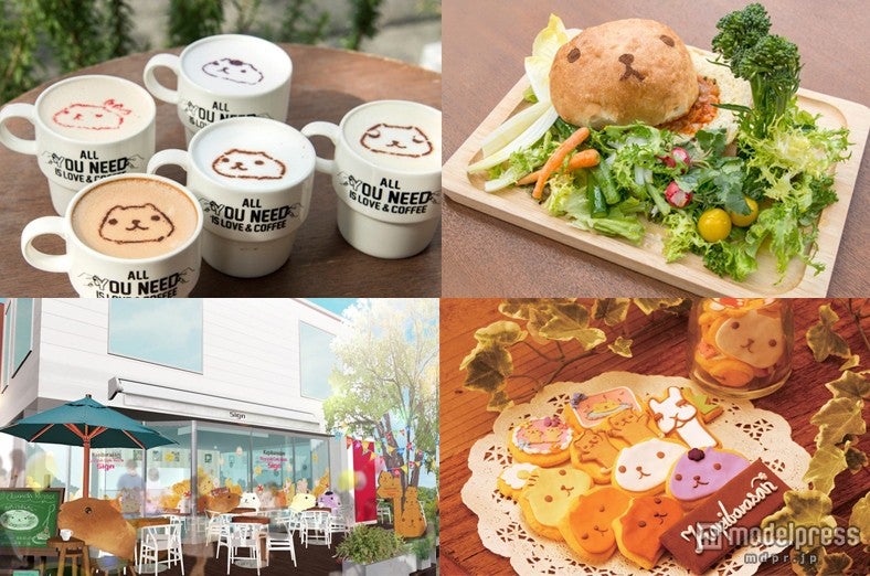 “カピバラさんカフェ”が「たまらなく可愛い！」と話題に