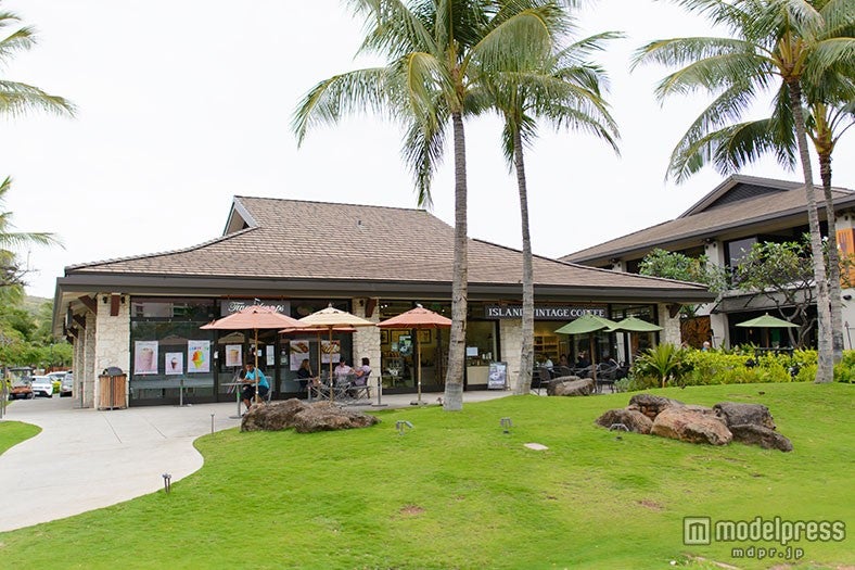 コオリナエリアにある「アイランドヴィンテージコーヒー」