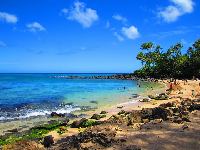 岩場が多く海が澄んでいるのがラニアケアビーチの特徴／Laniakea Beach by TheGirlsNY