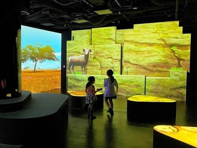 東急プラザ銀座にオープン『ZUKAN MUSEUM GINZA powered by 小学館の図鑑 NEO』