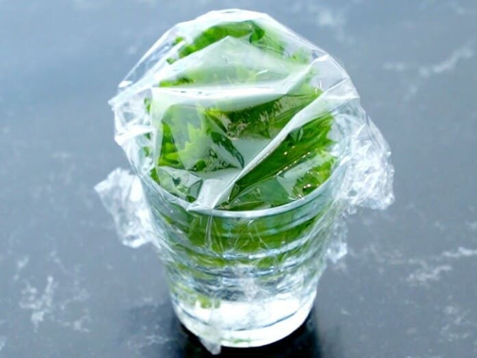 茎だけ水に浸らせ保存を。約2週間もちます