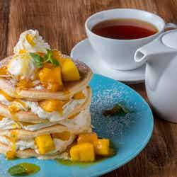 ベルヴィル/画像提供:サンパーク