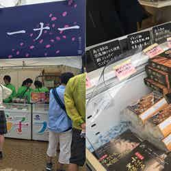 餃子フェス/画像提供:AATJ