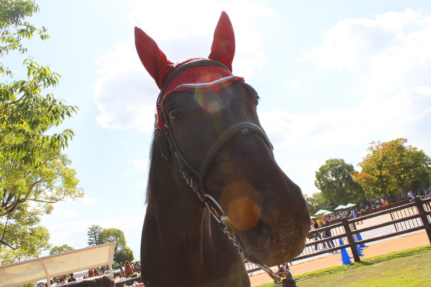 自然の中でオシャレな週末を