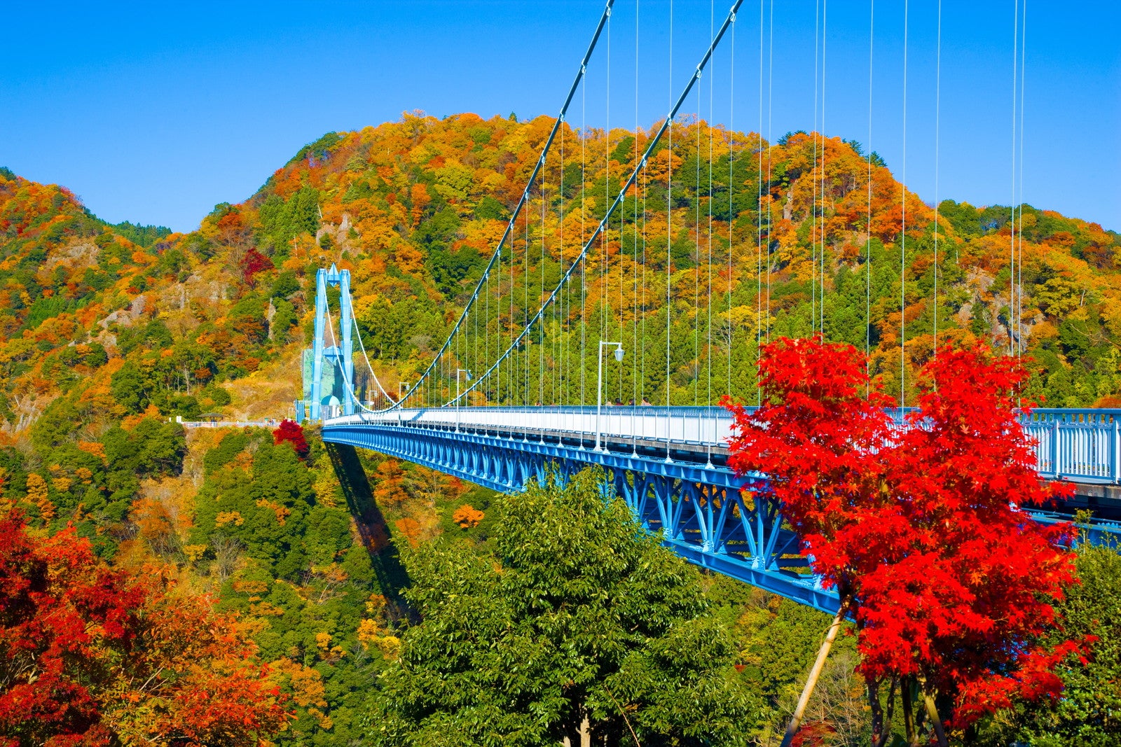 竜神大吊橋／提供画像