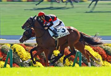 【新馬戦】ビンドゥング 鋭い切れ発揮で貫録V 戸崎圭「最後まで伸びてくれた」