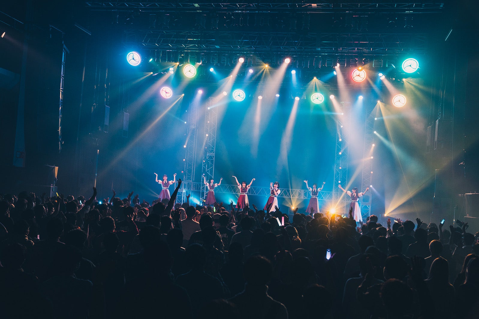 かすみ草とステラ／撮影：真島洸 （提供写真）