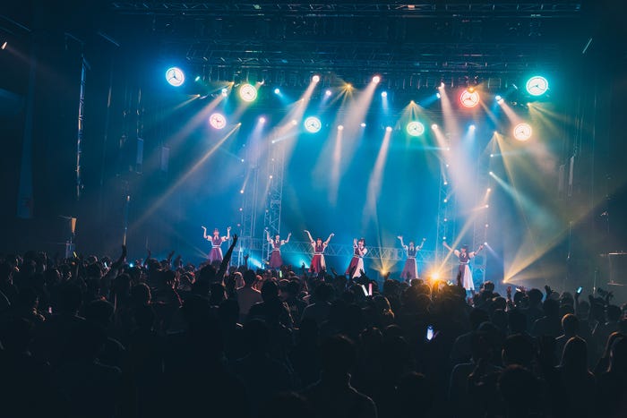 かすみ草とステラ/撮影:真島洸 (提供写真)